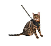 Bobby Chamane Harness & Lead - Black / M