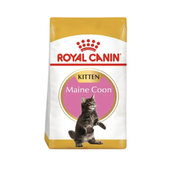 Royal Canin Feline Breed Nutrition Maine Coon Kitten - 2 KG