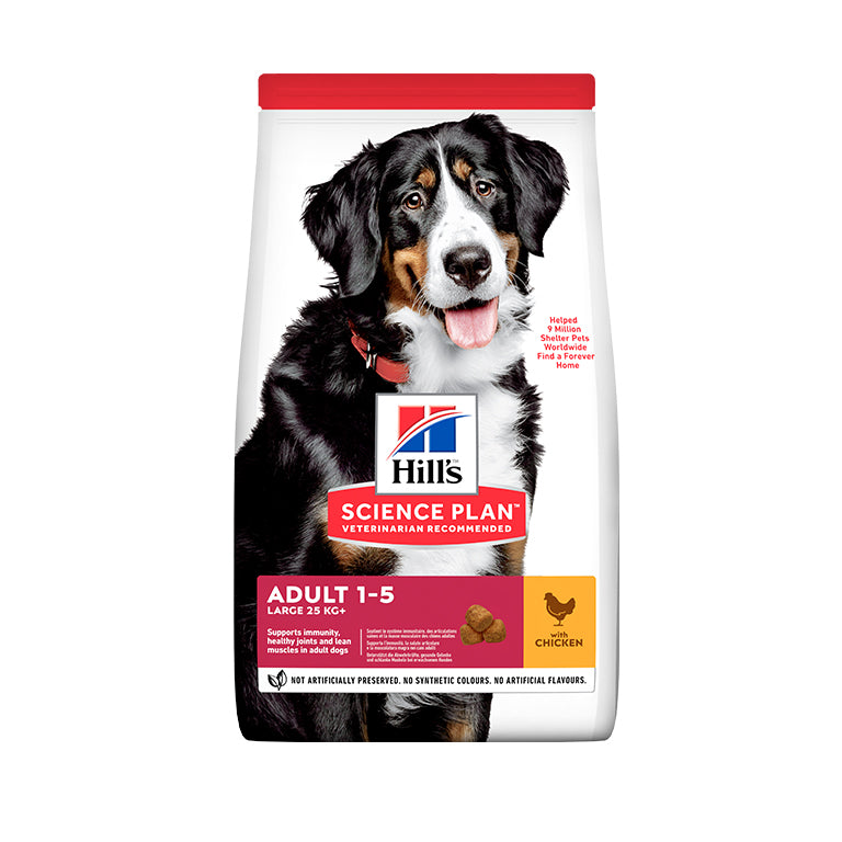 Hill's Science Plan Large Breed Adult Dog Food with Chicken
