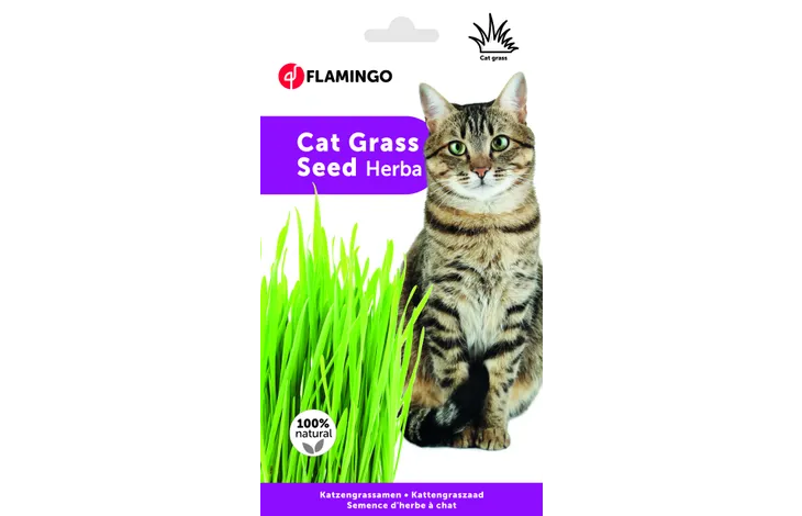 Flamingo Cat Grass