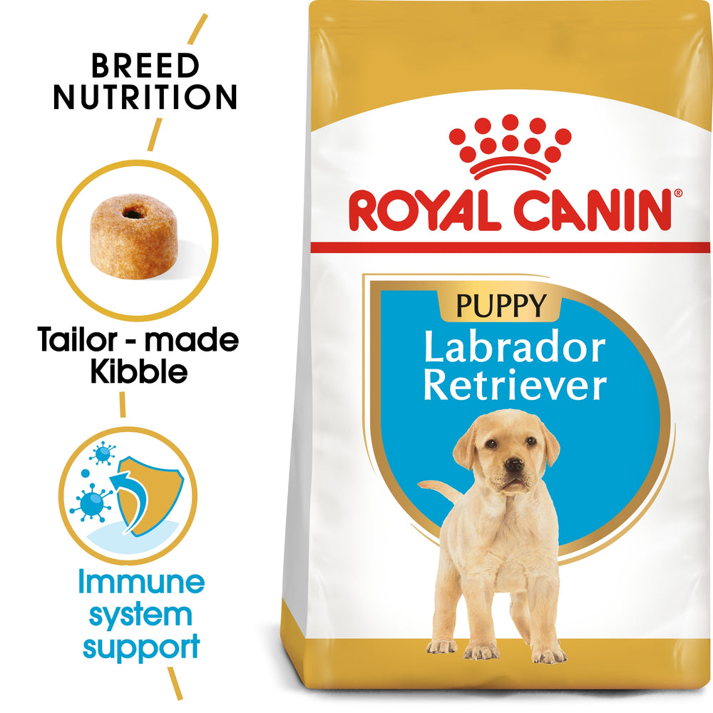 Breed Health Nutrition Labrador Puppy 3 KG